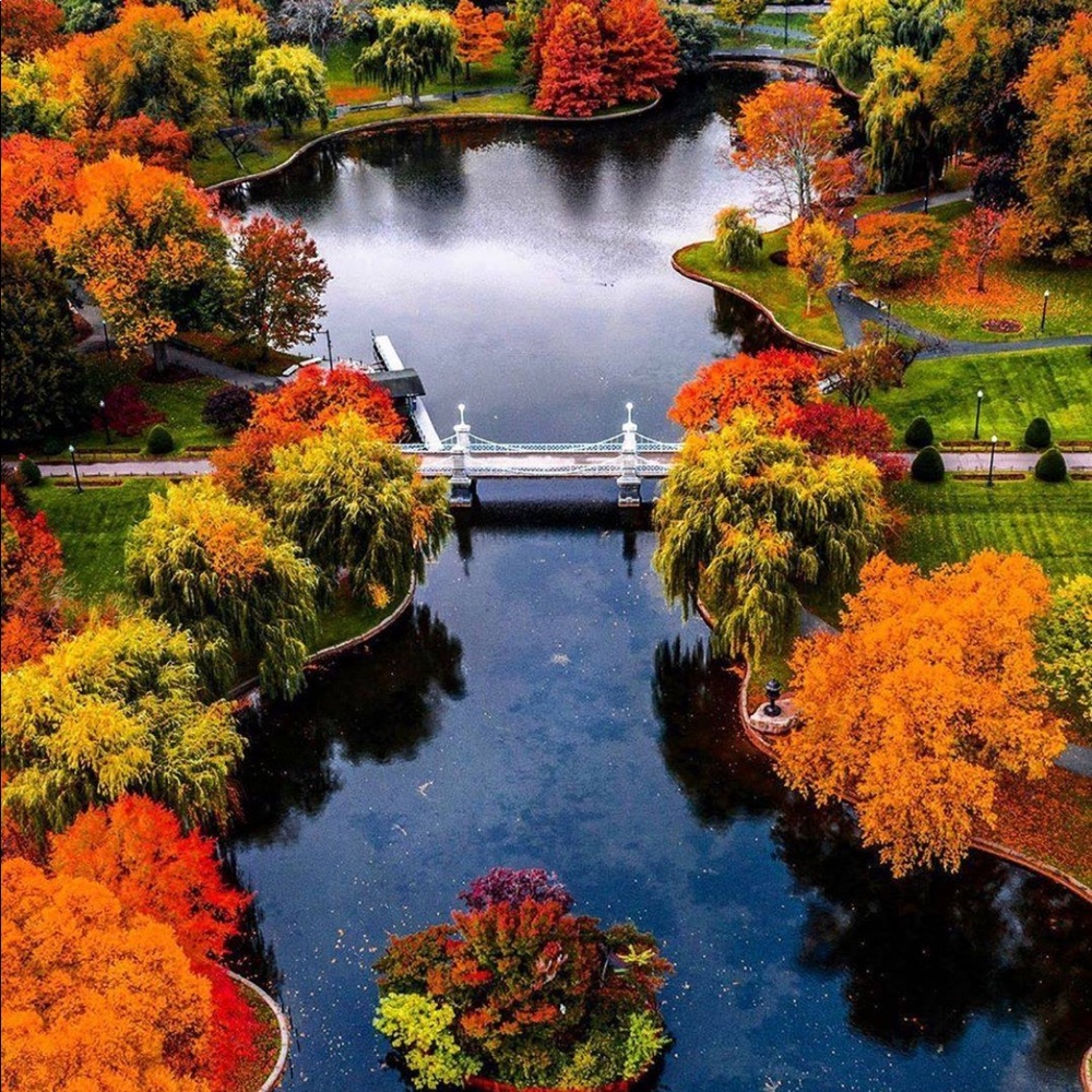 Meet your Posher, Pedro